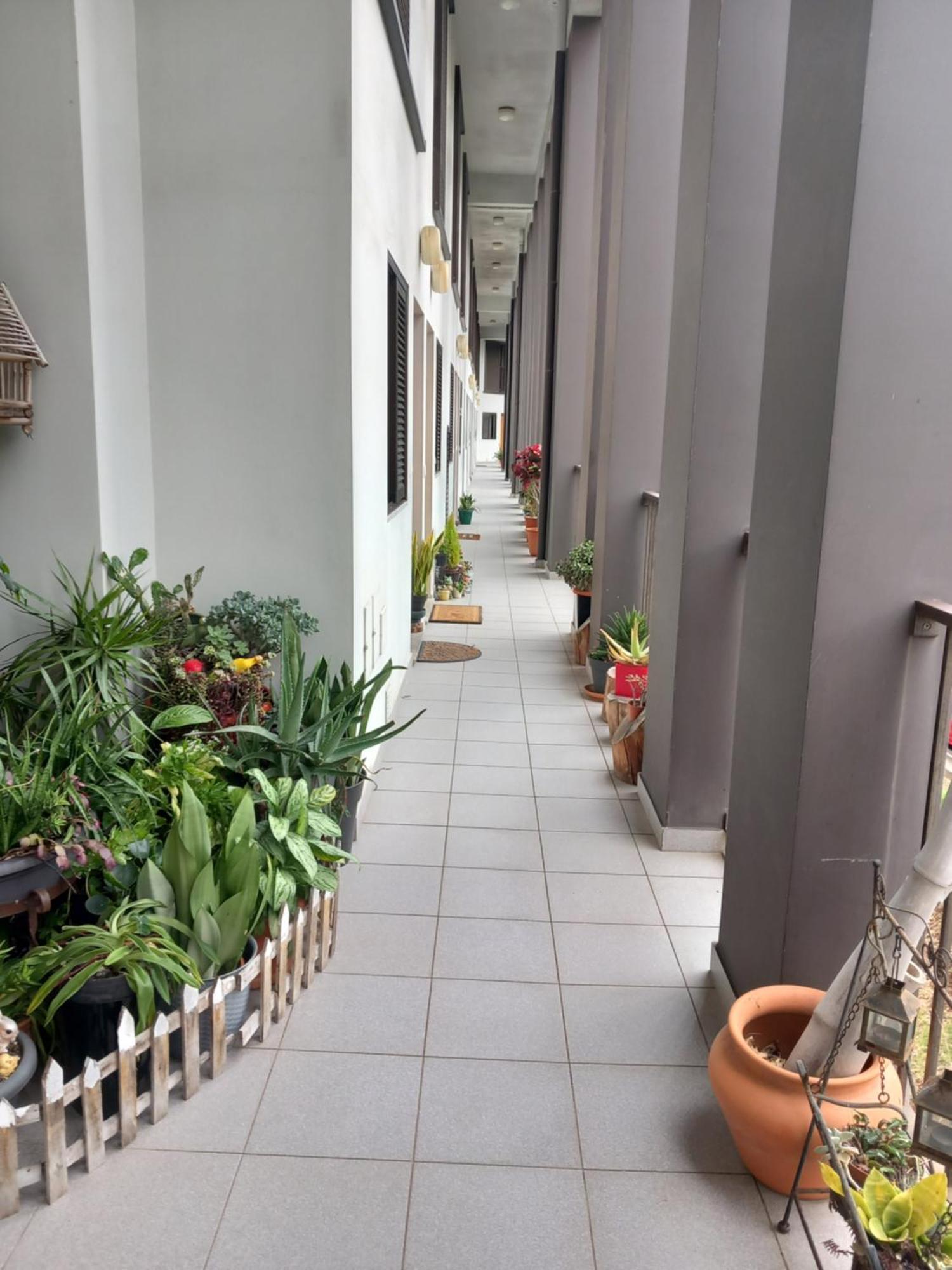 Efd Varzea Park Funchal  Ngoại thất bức ảnh